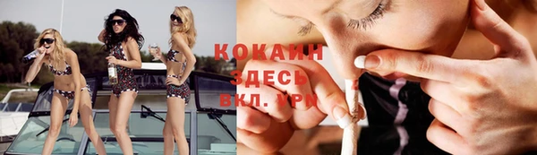 кокс Алзамай